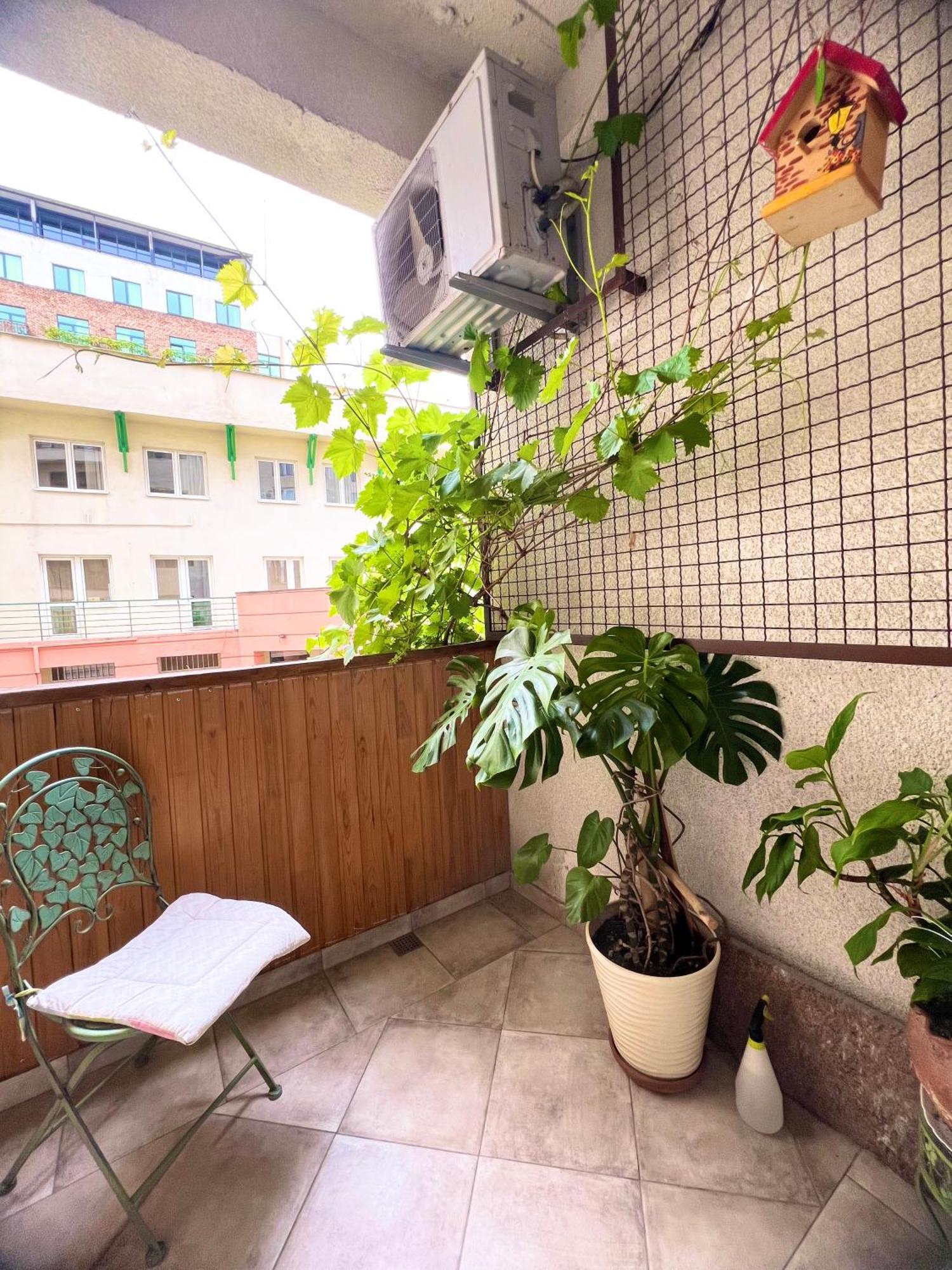 T2&T3 Apartments Levanto 第比利斯 外观 照片